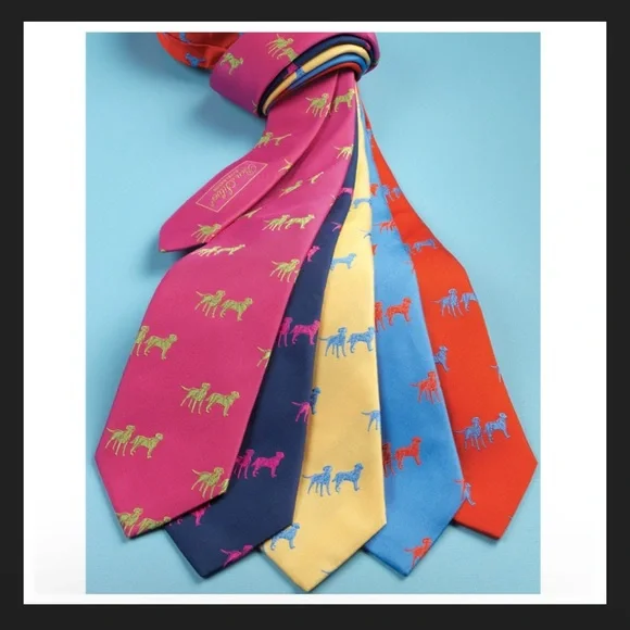 Ben Silver Charleston Silk Woven Lab Motif Tie in Magenta